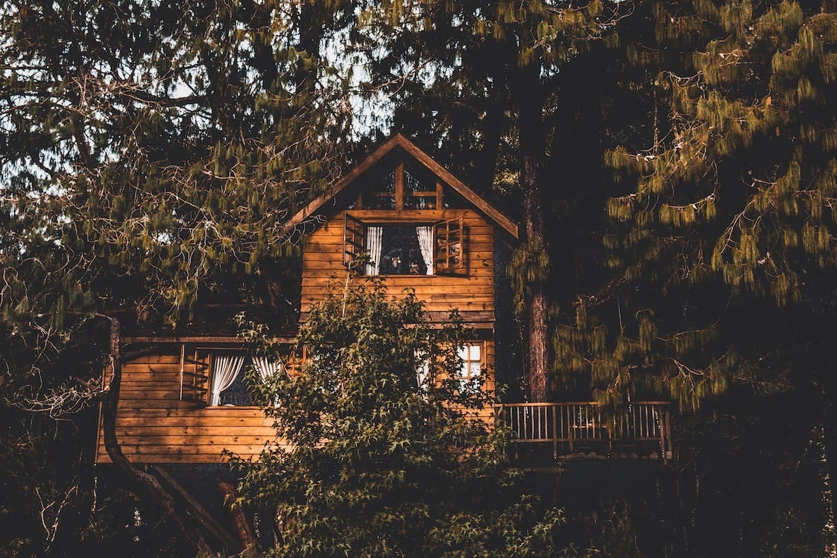 Explorer les cabanes dans les arbres : Touche innovante pour les espaces verts familiaux