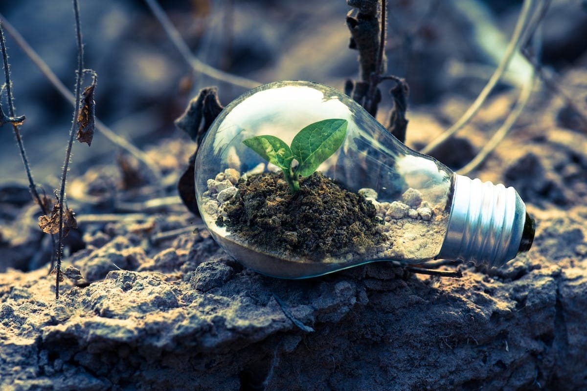 Incorporation de l’éthique environnementale à la stratégie d’entreprise : une approche indispensable à l’heure actuelle