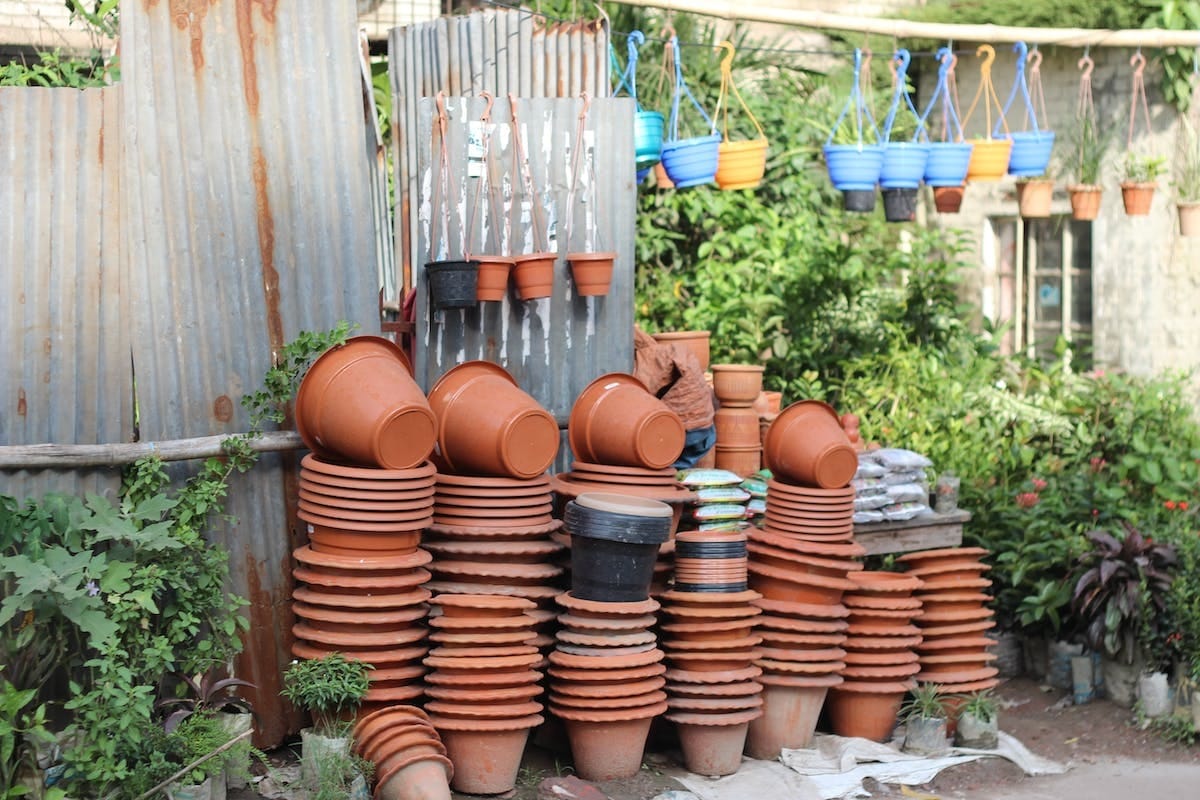 Potager en perles d’argile : innovation fertile pour sols contraignants