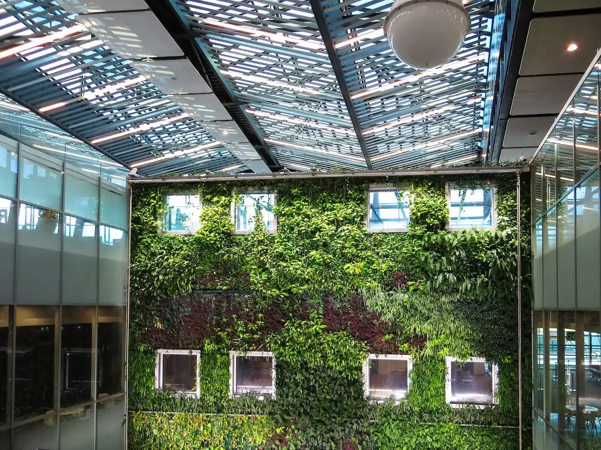 Décryptage de l’investissement profitabe dans les immeubles écologiques : la tendance du futur
